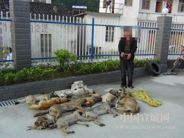 甘肃:化工成为全省第一支柱:开云电竞官网(图1) 开云电竞