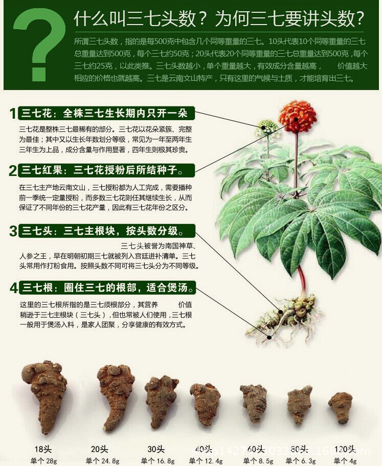 开云电竞app下载安装_保剑锋携《长安伏妖》绅士儒雅亮相海南岛国际电影节(图1) 开云电竞