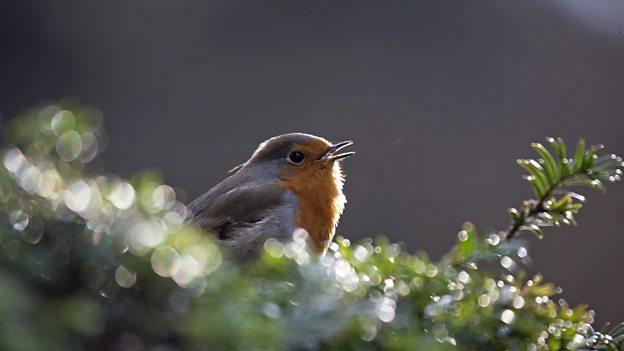 开云电竞app下载安装