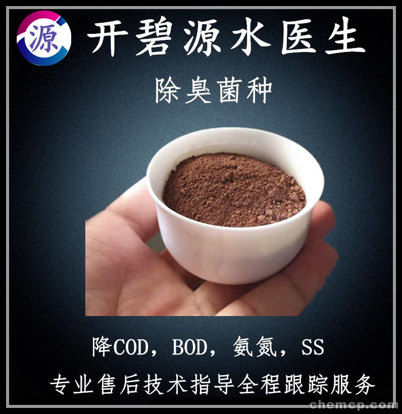 开云电竞app下载安装