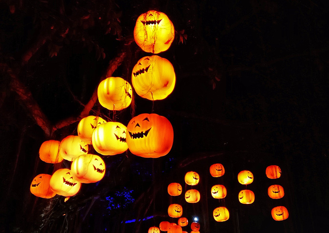 开云电竞app下载安装