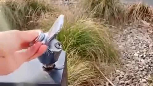 开云电竞app下载安装