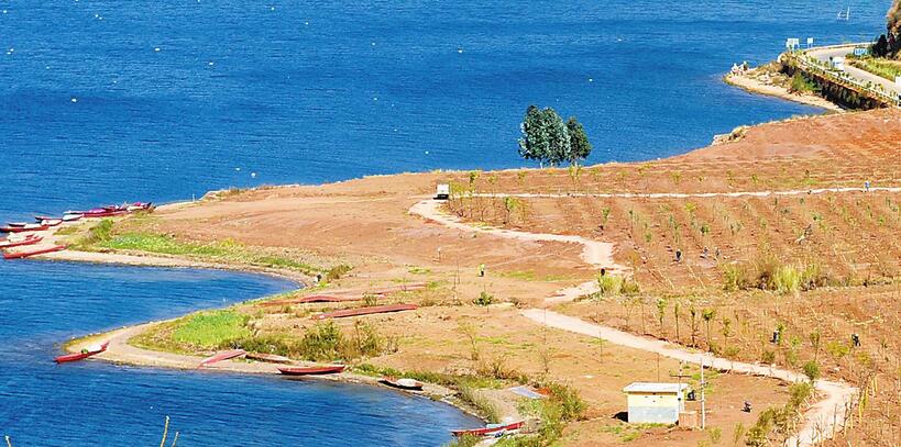 2017家装水管十大品牌排名情况-开云电竞(图2) 开云电竞官网