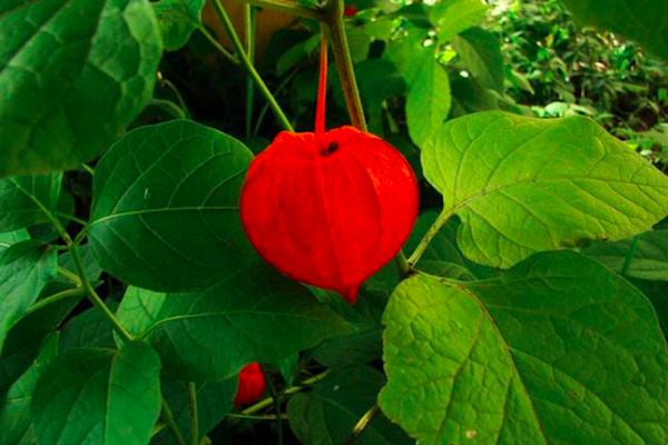 开云电竞app下载安装