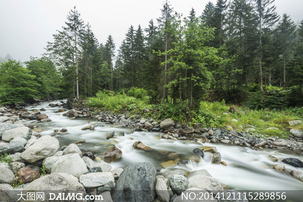 开云电竞官网|韩国选送《寄生虫》竞争奥斯卡 有望为韩国捧得首个小金人(图3) 开云电竞app下载安装