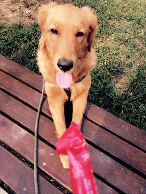 ‘开云电竞app下载安装’
警方介入王雨磊教授涉嫌性侵案!华南理工大学已对其解聘(图4) 开云电竞官网