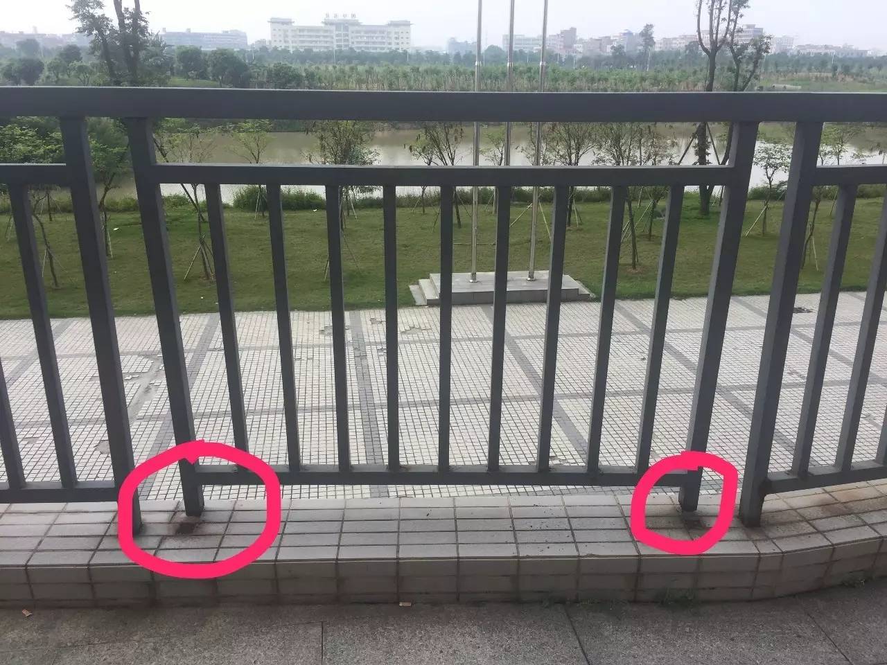 票房丨《寻梦环游记》破皮克斯内地票房纪录_开云电竞官网(图2) 开云电竞官网