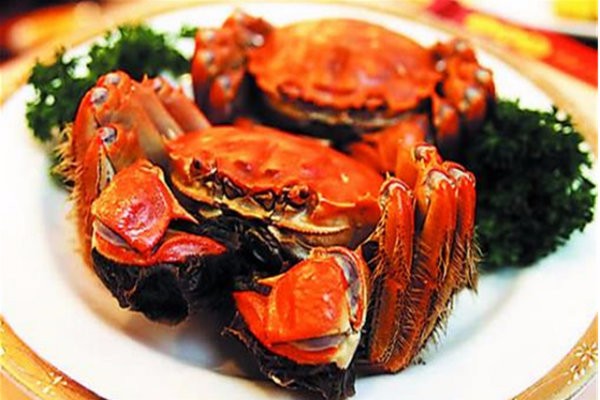 (01月09日)2017年成品油价首涨将现春节前加油站迎红利|开云电竞(图1) 开云电竞app下载安装