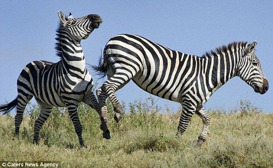 【开云电竞】国家出台30余项税收优惠 鼓励节能减排(图2) 开云电竞