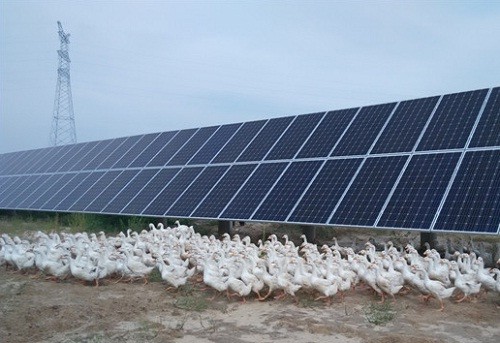 开云电竞app下载安装-越南主席首访俄罗斯 普京建议俄越2019年互办国家年(图2) 开云电竞官网