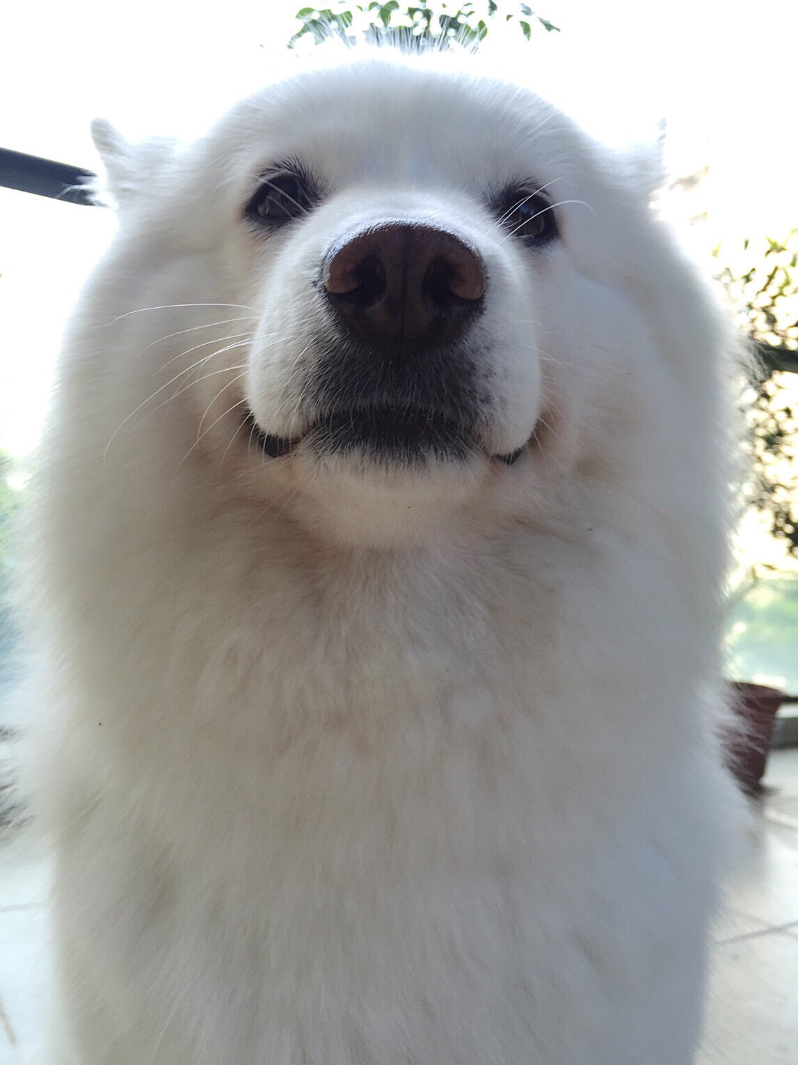 开云电竞官网-在装修时购买材料的顺序,你知道吗?(图2) 开云电竞官网