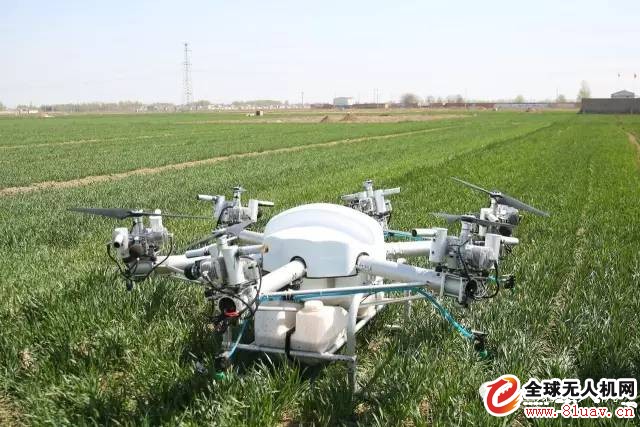 ‘开云电竞官网’日本王俊凯和男版迪丽热巴携《解忧杂货店》中日两版正面对决(图2) 开云电竞官网