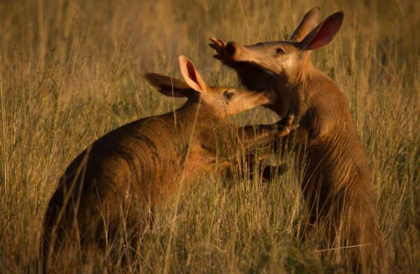 哥伦比亚游船沉没已造成至少9人死亡另有约28人失踪|开云电竞官网(图1) 开云电竞