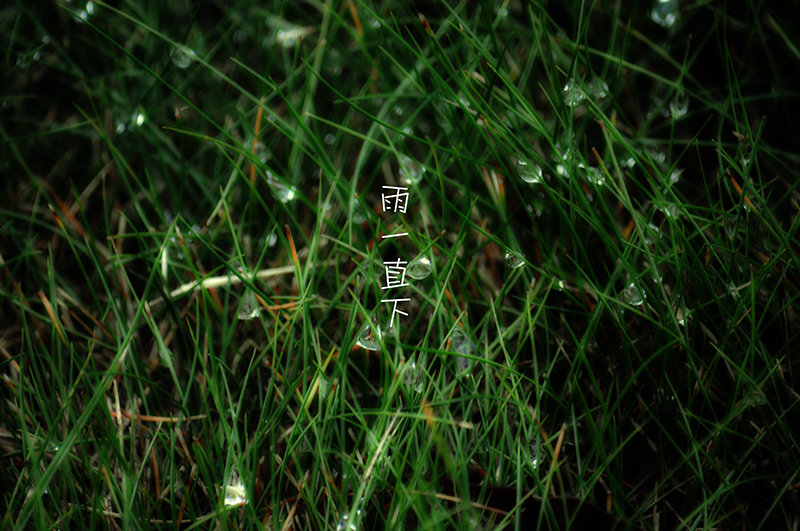 陈庭妮《我不是购物狂》收官 黄燕南解决易能购资金危机【开云电竞】(图3) 开云电竞官网