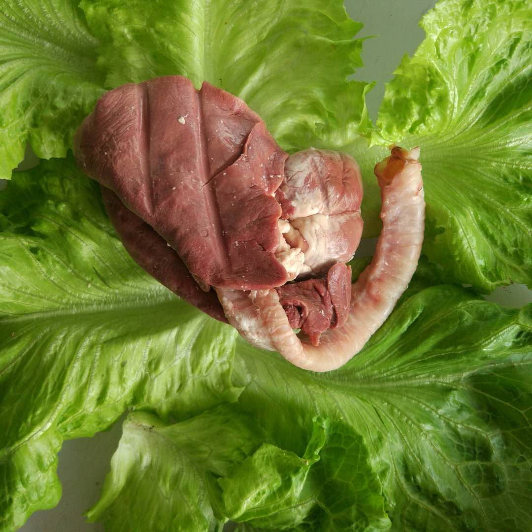 《信条》曝中文正式预告 时间倒流竟然成真:开云电竞官网(图1) 开云电竞官网