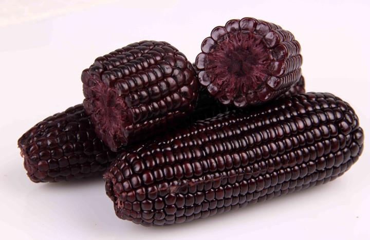 开云电竞-(10月25日)铁矿石期货五连阴重挫6%供应过剩或成常态(图1) 开云电竞app下载安装