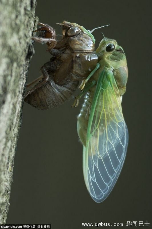 “开云电竞官网”院线电影《我们的8090》在深圳举行新闻发布会(图1) 开云电竞app下载安装