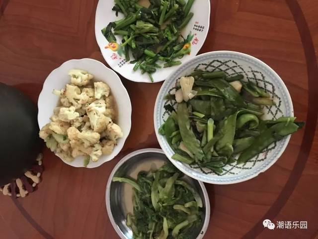 大庆市风电等新能源发展势头正迅猛:开云电竞(图4) 开云电竞官网