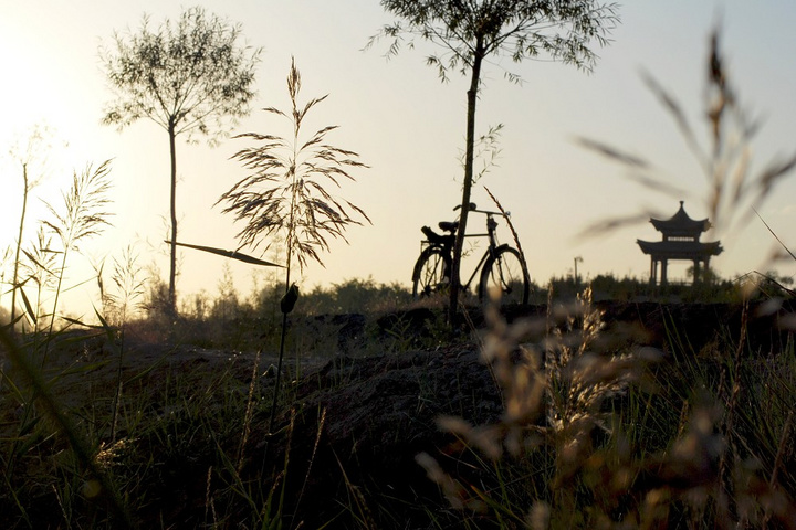 开云电竞app下载安装