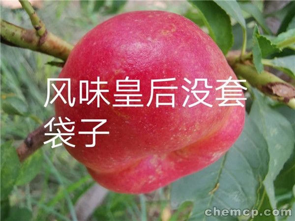 开云电竞app下载安装