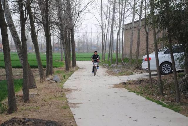 开云电竞app下载安装