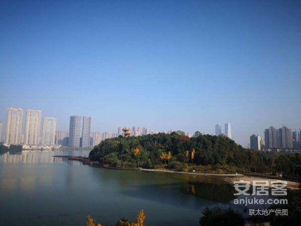 专线发行“海曼”只是开始 艺联在下一盘很大的棋-开云电竞官网(图2) 开云电竞app下载安装
