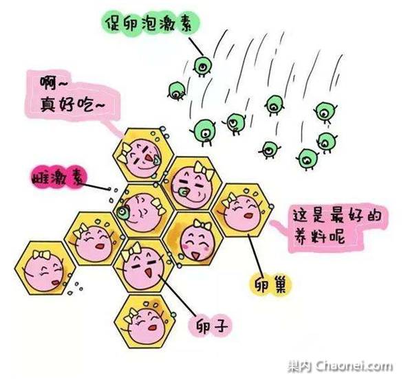 “开云电竞官网”周星驰新作《D计划》曝路透照,星爷近照认不出!(图3) 开云电竞官网