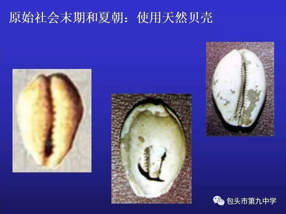 开云电竞app下载安装_迪士尼“真狗版”《小姐与流浪汉》首曝剧照 网友吐槽与动画原型相差太大(图1) 开云电竞